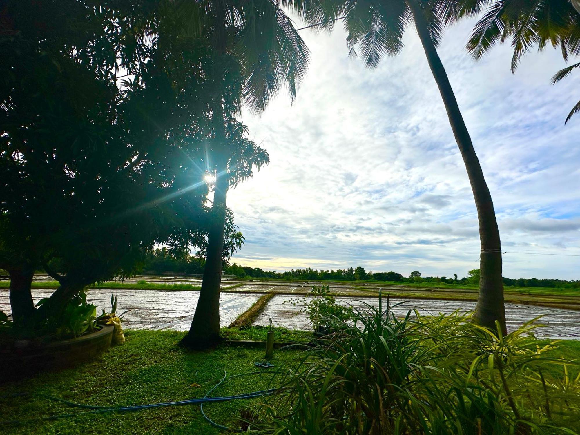 Aroma Villa Homestay Polonnaruwa Luaran gambar