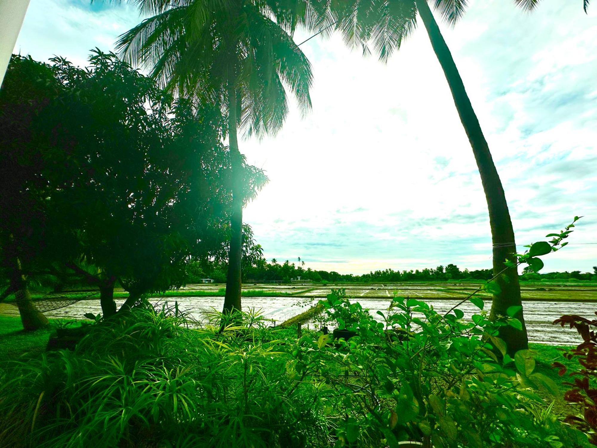 Aroma Villa Homestay Polonnaruwa Luaran gambar